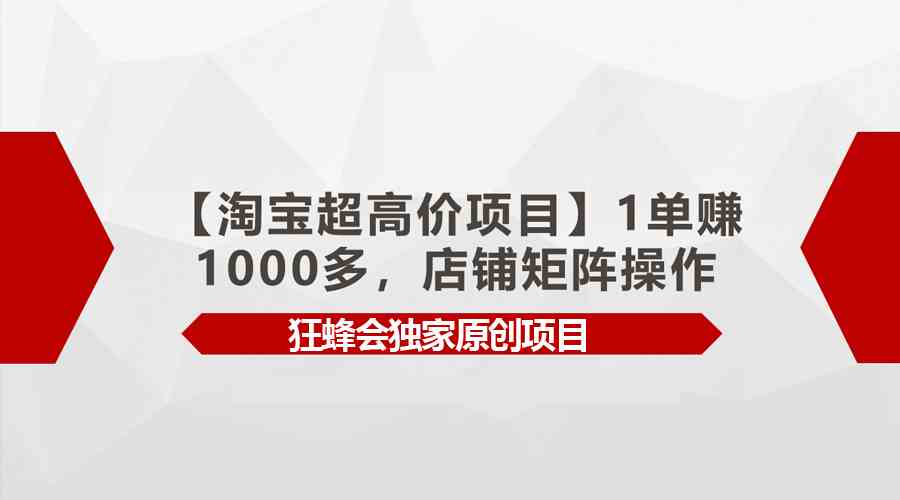 （9849期）【淘宝超高价项目】1单赚1000多，店铺矩阵操作-尤课网创