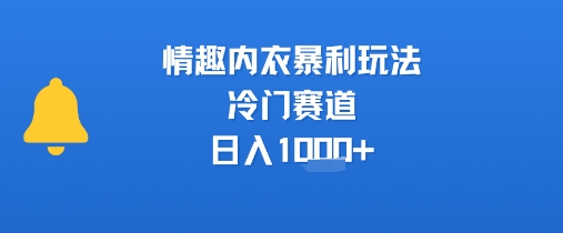 情趣内衣暴利玩法，冷门赛道，日入1k+-尤课网创