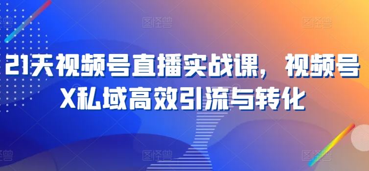 21天视频号直播实战课，视频号X私域高效引流与转化-尤课网创