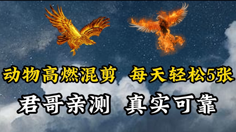 动物超燃混剪，每天轻松5张，剪辑简单大家爱看-尤课网创