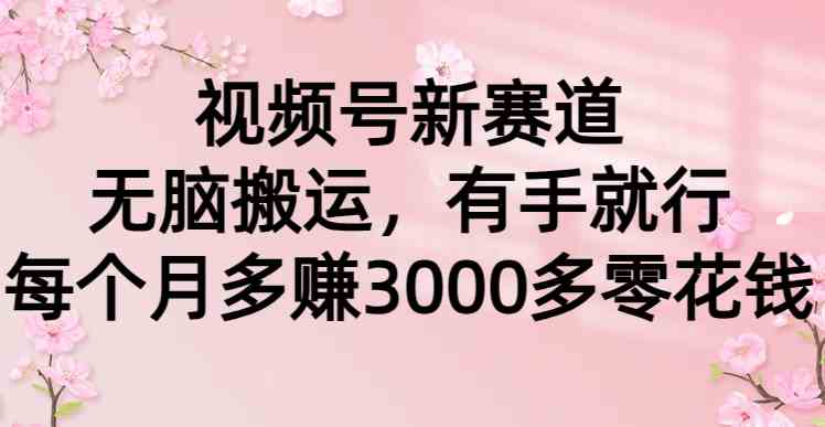 （9277期）视频号新赛道，无脑搬运，有手就行，每个月多赚3000多零花钱-尤课网创