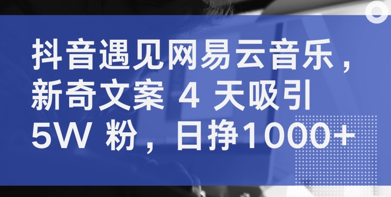 抖音遇见网易云音乐，新奇文案 4 天吸引 5W 粉，日挣1000+-尤课网创