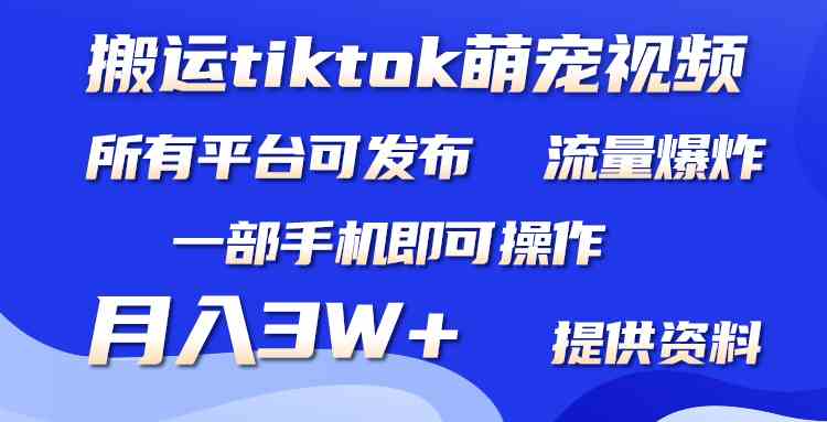 （9618期）搬运Tiktok萌宠类视频，一部手机即可。所有短视频平台均可操作，月入3W+-尤课网创