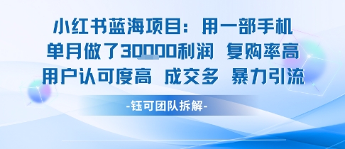 小红书蓝海项目，一部手机单月做了3W利润，小白也能月入过1W用户认可度高成交多-尤课网创