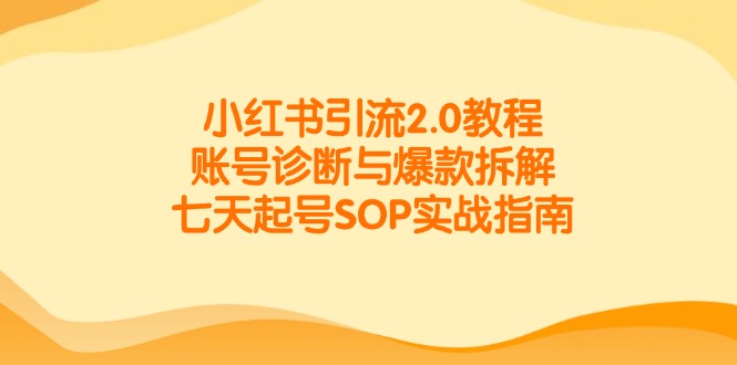 小红书引流2.0教程，账号诊断与爆款拆解，七天起号SOP实战指南-尤课网创