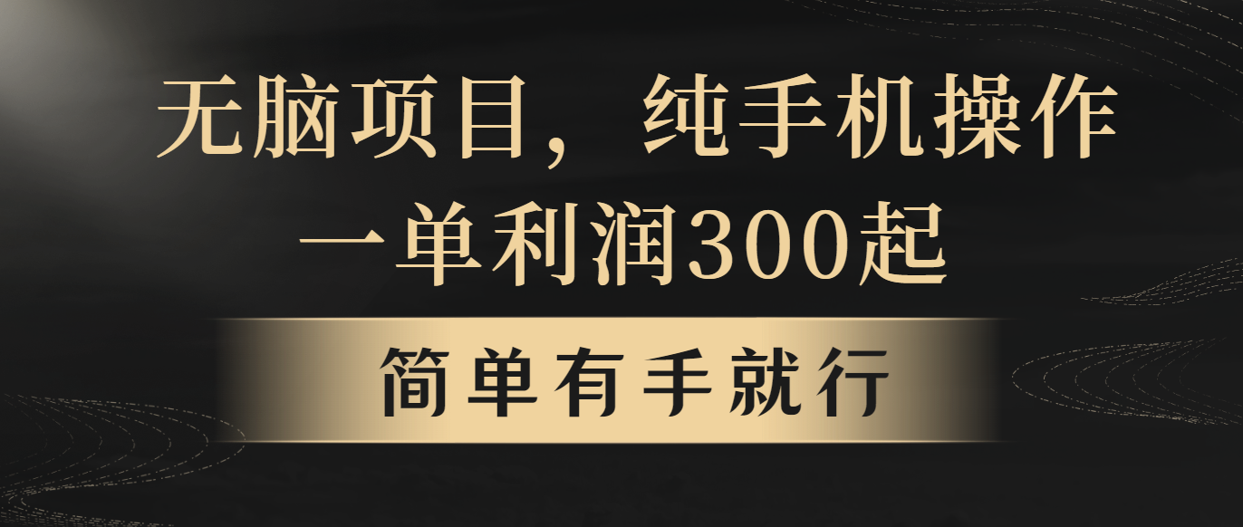（10589期）无脑项目，一单几百块，轻松月入5w+，看完就能直接操作-尤课网创