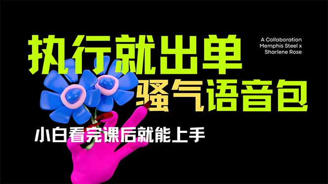 （14170期）爆火全网的开车导航骚气语音包,只要执行就出单，小白看完课程就能实操…-尤课网创