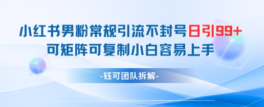 小红书男粉常规引流不封号日引99+变现简单 可矩阵可复制小白容易上手-尤课网创