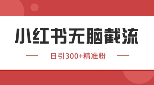 小红书只要你有同行就能获客，独家野路子获客玩法，暴力截流-尤课网创