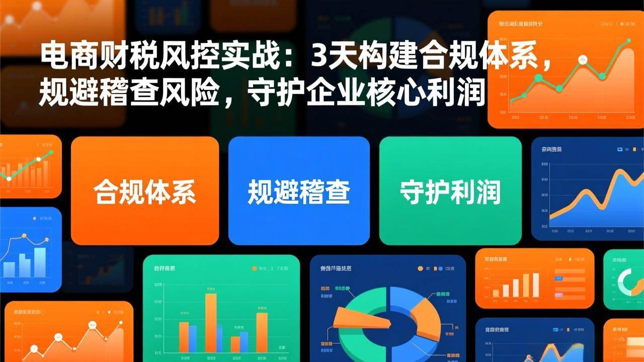 （17197期）电商财税风控实战：3天构建合规体系，规避稽查风险，守护企业核心利润-尤课网创