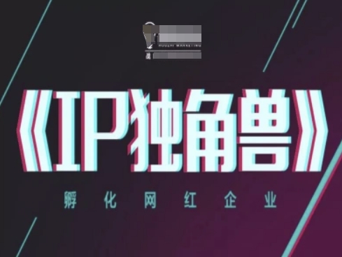 IP独角兽，孵化网红企业，ip教程-尤课网创