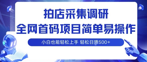 拍店采集调研，全网首码项目，简单易操作， 小白也能轻松上手，多账号操作，轻松日入5张【揭秘】-尤课网创