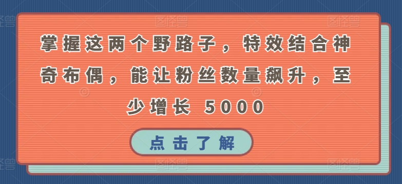掌握这两个野路子，特效结合神奇布偶，能让粉丝数量飙升，至少增长 5000-尤课网创