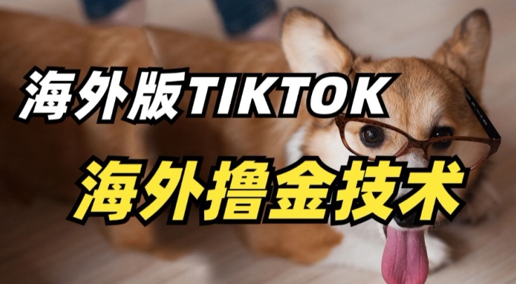 抖音海外版tiktok撸金技术，这个风口行业，赚钱真的不难-尤课网创