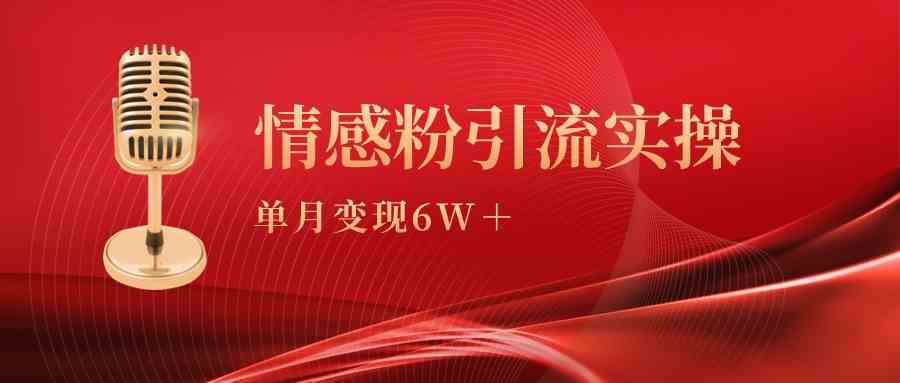（9473期）单月变现6w+，情感粉引流变现实操课-尤课网创