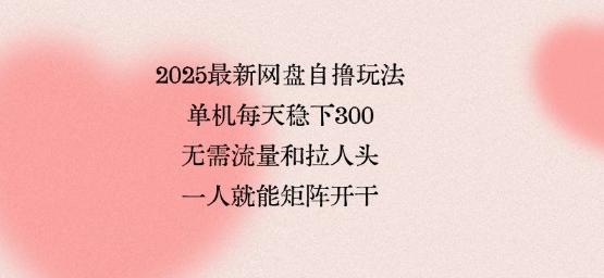 2025最新网盘自撸玩法，单机每天稳下3张，无需流量和拉人头，一个人就可轻松矩阵，全网独一份【揭秘】-尤课网创