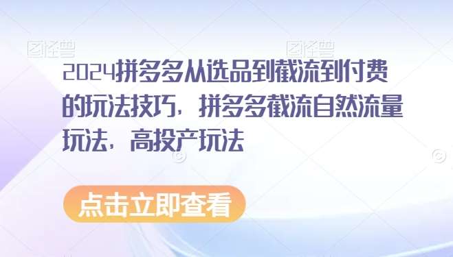 2024拼多多从选品到截流到付费的玩法技巧，拼多多截流自然流量玩法，高投产玩法-尤课网创
