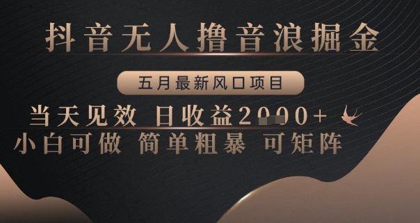 抖音无人撸音浪掘金，五月最新风口项目，当天见效，日收益多张，小白可做简单粗暴可矩阵-尤课网创