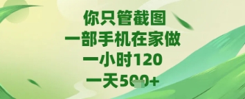 你只管截图，一部手机在家做，苹果安卓都可以，一天5张+-尤课网创