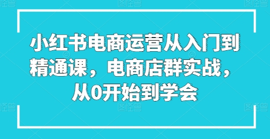 小红书电商运营从入门到精通课，电商店群实战，从0开始到学会-尤课网创