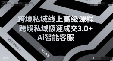 跨境私域线上高级课程，跨境私域极速成交3.0+Ai智能客服-尤课网创