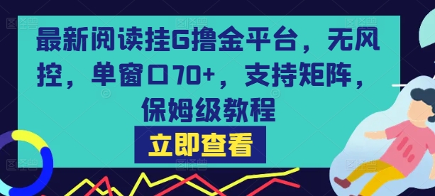 最新阅读挂G撸金平台，无风控，单窗口70+，支持矩阵，保姆级教程【揭秘】-尤课网创
