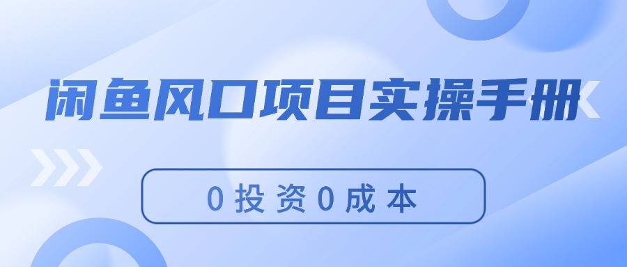 （11923期）闲鱼风口项目实操手册，0投资0成本，让你做到，月入过万，新手可做-尤课网创