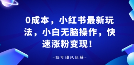 0成本，小红书最新玩法，小白无脑操作，快速涨粉变现-尤课网创