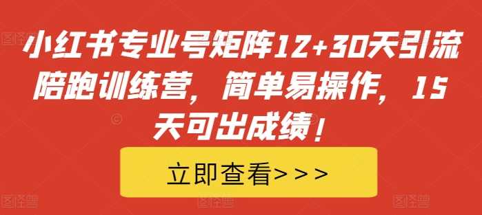 小红书专业号矩阵12+30天引流陪跑训练营，简单易操作，15天可出成绩!-尤课网创