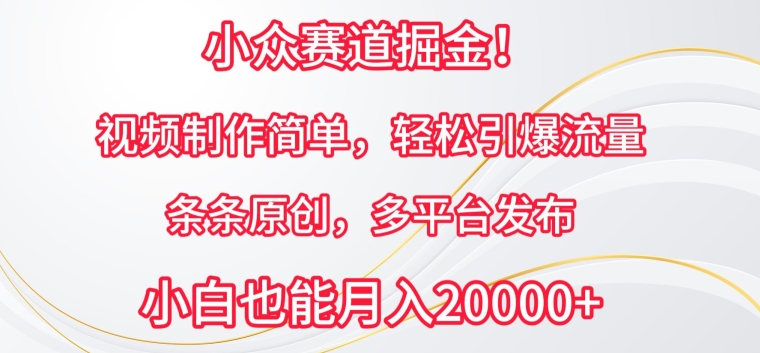 小众赛道掘金，视频制作简单，轻松引爆流量，条条原创，多平台发布-尤课网创