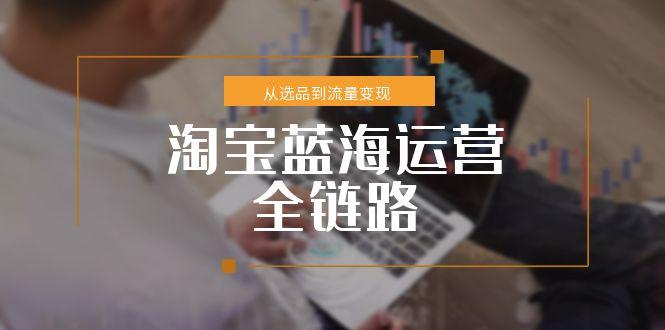 淘宝蓝海运营全链路，从选品到流量变现，小类目突围完整方案-尤课网创