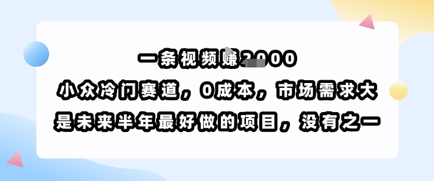 一条视频挣1k，小众冷门赛道，0成本，市场需求大，是未来半年最好做的项目，没有之一-尤课网创