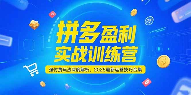 拼多多盈利实战训练营，强付费玩法深度解析，2025最新运营技巧合集-尤课网创