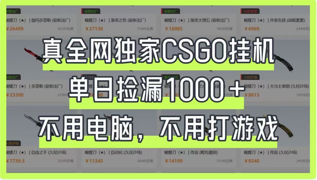 真全网独家CSGO挂机，单日捡漏1000+，不用电脑，不用养号-尤课网创