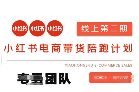 小红书电商带货课2期，月利润20个的小红书电商的有货源，无货源，虚拟产品，付费投流等整套玩法-尤课网创