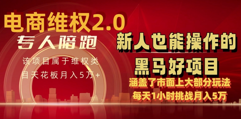 电商维权 4.0 如何做到月入 5 万+每天 1 小时新人也能快速上手【仅揭秘】-尤课网创