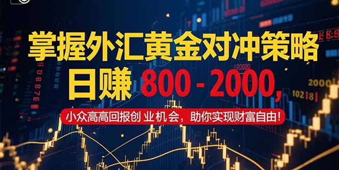掌握外汇黄金对冲策略，日赚 800 – 2000，小众高回报创业机会，助你实…-尤课网创