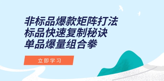 非标品爆款矩阵打法，标品快速复制秘诀，单品爆量组合拳-尤课网创