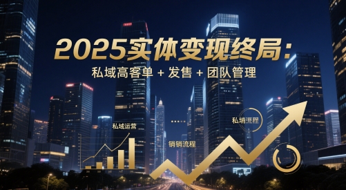 2025实体变现终局：私域高客单+发售+团队管理-尤课网创