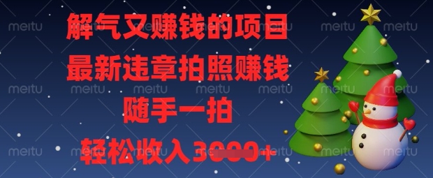 解气又挣钱的项目，最新违章拍照挣钱，随手一拍，轻松收入数张【揭秘】-尤课网创